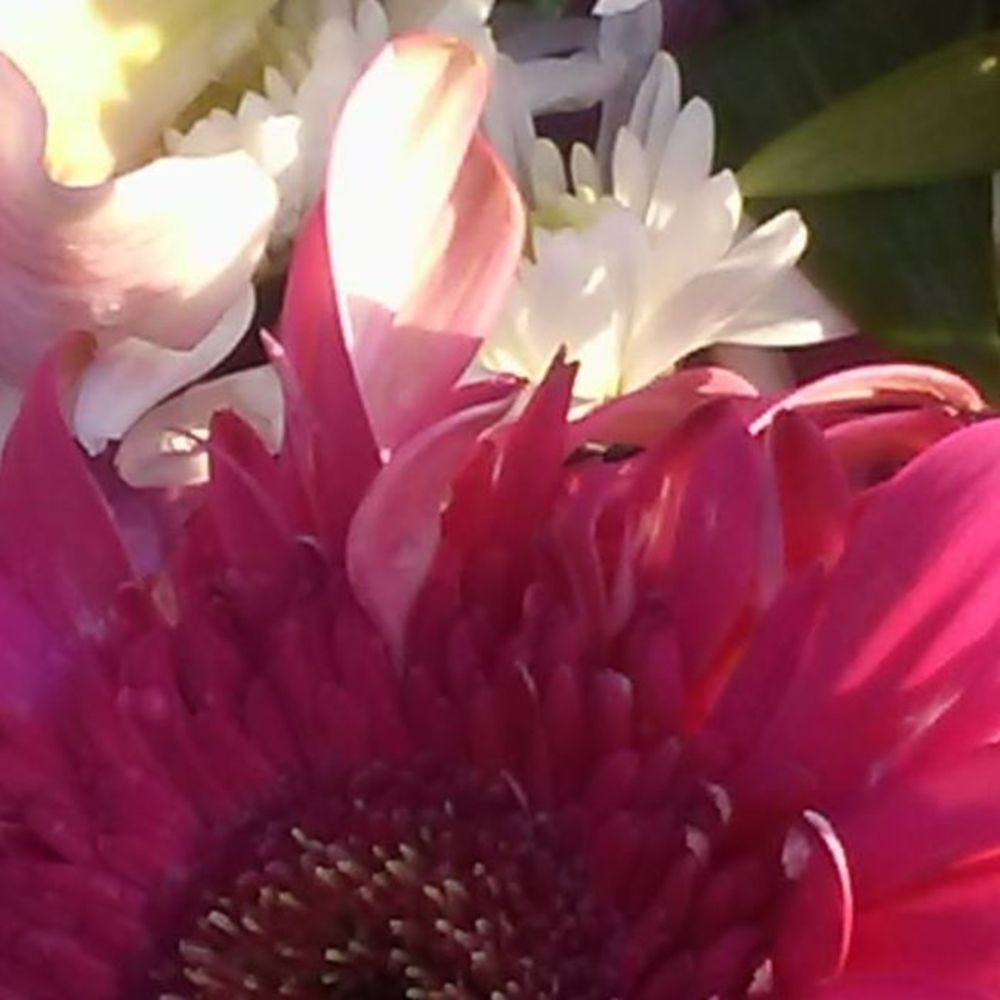 Meet your Posher, Rebecca